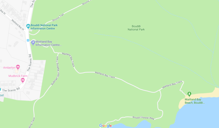 maitland-bay-track-bouddi